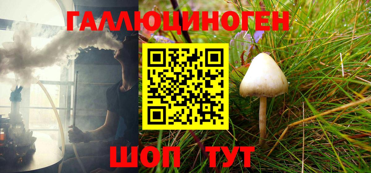 Псилоцибиновые грибы мицелий Реж