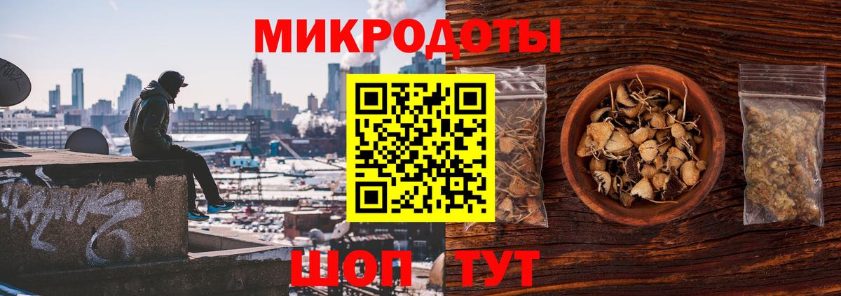 Псилоцибиновые грибы MAGIC MUSHROOMS  Вход с VPN  Реж 